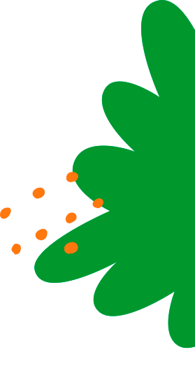 Confira nossas ofertas