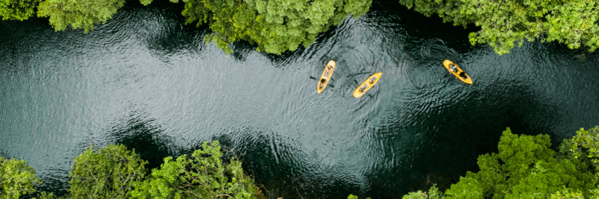 TERMOS E CONDIÇÕES DE COMPRA